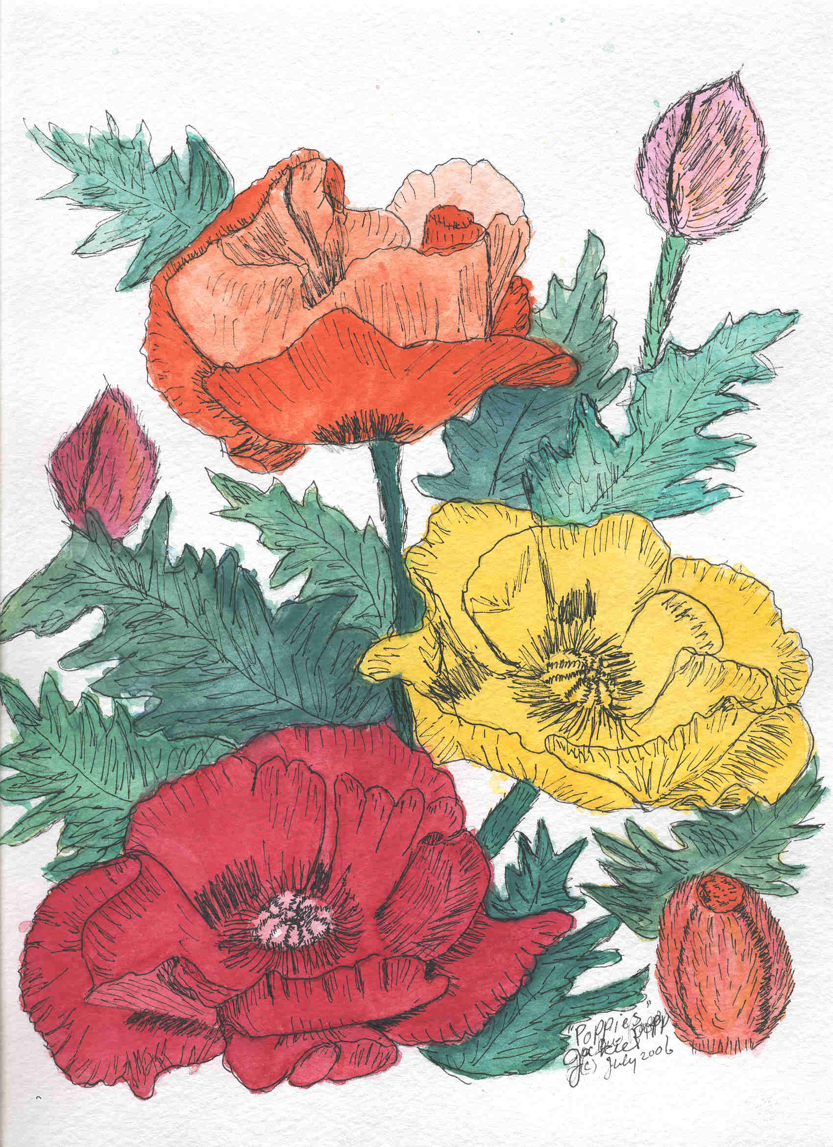 Poppies pen and ink