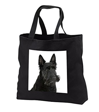 Scottish Terrier Tote Bag Amazon